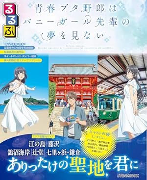 Amazon.co.jp: 青春ブタ野郎はバニーガール先輩の夢を見ない 1 (電撃